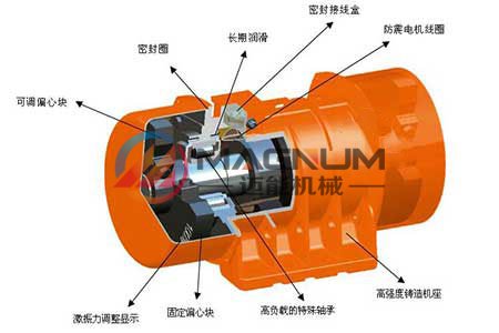 振動(dòng)篩電機(jī)結(jié)構(gòu)圖 振動(dòng)篩電機(jī)結(jié)構(gòu)圖